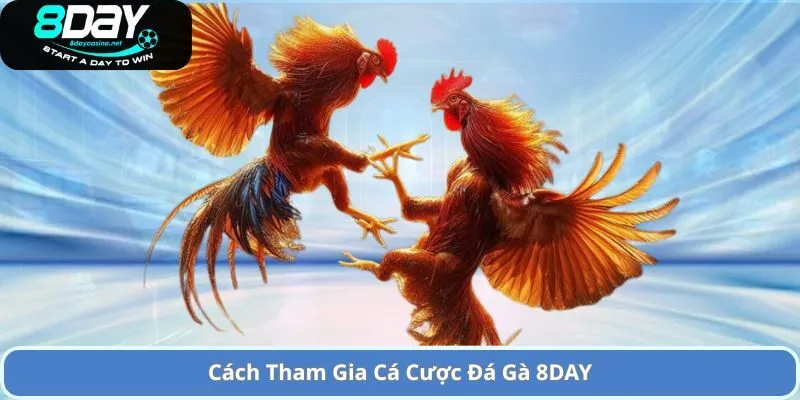 Tham gia Cá Cược Đá Gà 8Day Đầy Hấp Dẫn và Uư Đãi Lớn 2 Cách Tham Gia Cá Cược Đá Gà 8DAY