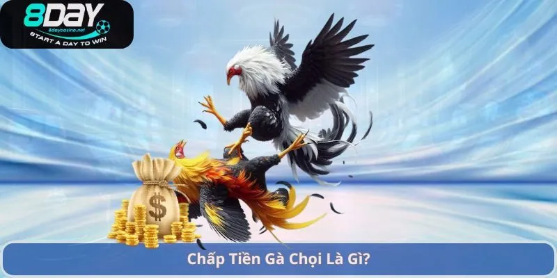 Cách Chấp Tiền Gà Chọi – Hướng Dẫn Đặt Cược Và Chiến Lược Hiệu Quả 2 Chấp Tiền Gà Chọi Là Gì?
