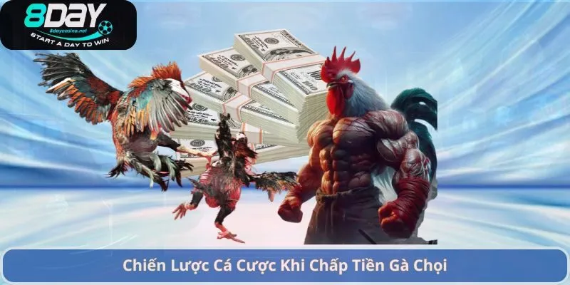 Cách Chấp Tiền Gà Chọi – Hướng Dẫn Đặt Cược Và Chiến Lược Hiệu Quả 4 Chiến Lược Cá Cược Khi Chấp Tiền Gà Chọi