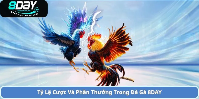 Tham gia Cá Cược Đá Gà 8Day Đầy Hấp Dẫn và Uư Đãi Lớn 3 Tỷ Lệ Cược Và Phần Thưởng Trong Đá Gà 8DAY